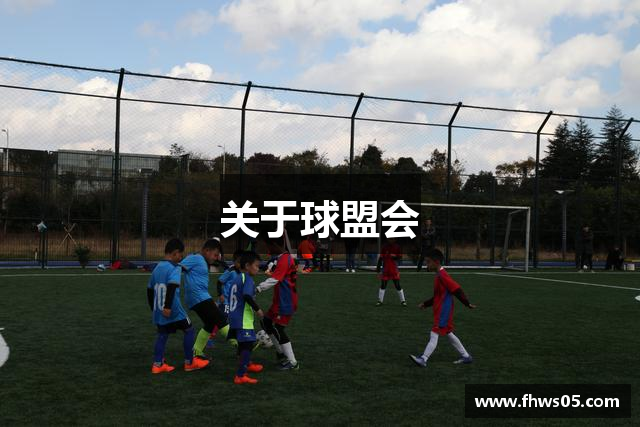 关于球盟会